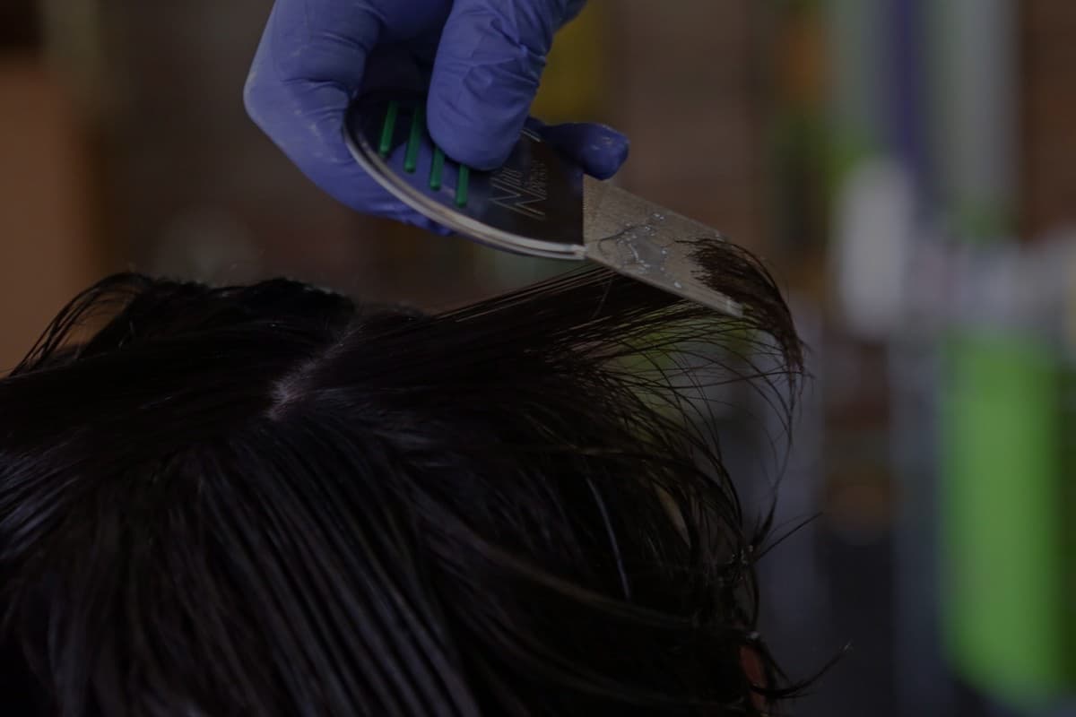 Lice Removal Treatment Washington, DC
